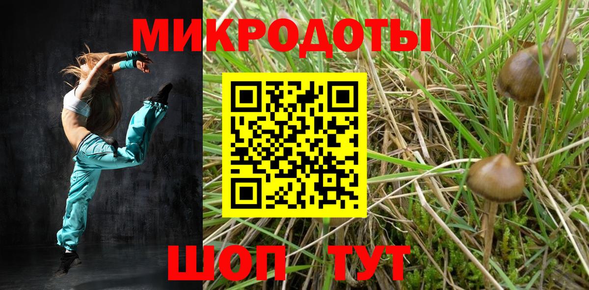 Псилоцибиновые грибы мухоморы Новотроицк