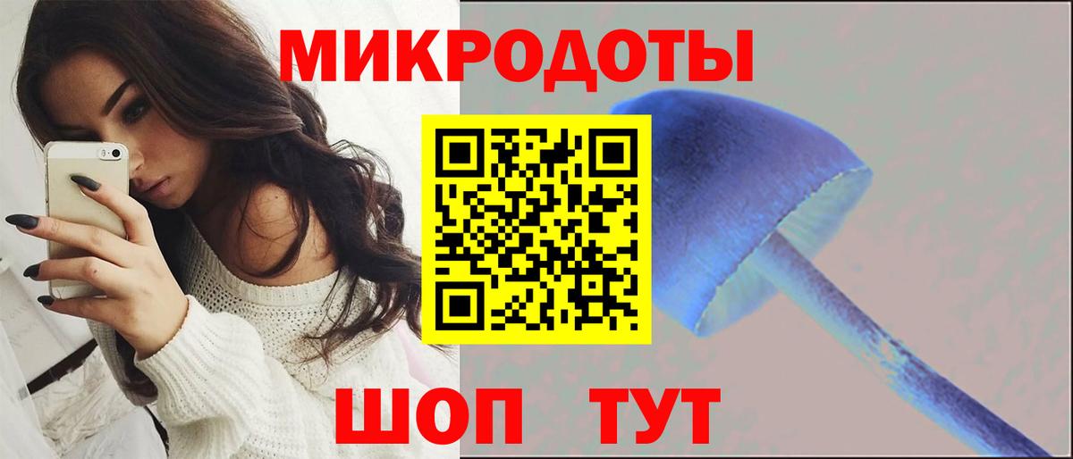 Галлюциногенные грибы Psilocybe  Вход с VPN  Новотроицк 